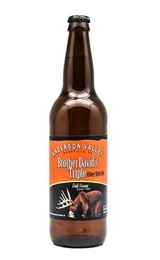 Пиво Anderson Valley Brother David's Triple Abbey Style Ale 12 шт. 0,65 л