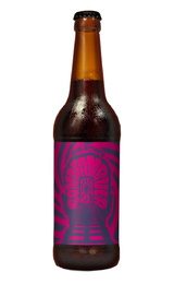 Пиво Джоус Сомнамбула Овсяный Молочный Стаут 20 шт. 0,5 л