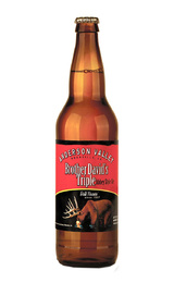 Пиво Anderson Valley Brother David's Triple Abbey StyleAle 24 шт. 0,65 л