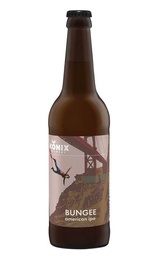 Пиво Коникс Банджи 20 шт. 0,5 л