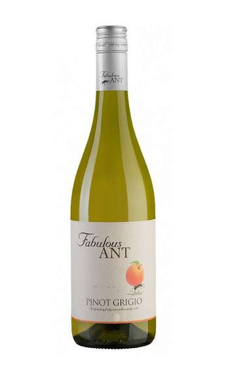 фото вино Fabulous Ant Pinot Grigio 0,75 л