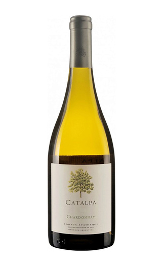Катальпа Шардоне 0.75 л фото вино Catalpa Chardonnay 0,75 л