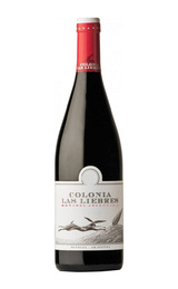 Вино Altos Las Hormigas Colonia Bonarda Classic 2019 0,75 л