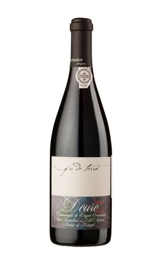 Фио де Терра Дору Бьянко 2016 0.75 л фото вино Fio de Terra Douro Bianco 2016 0,75 л