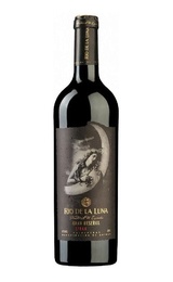 Вино Rio de la Luna Gran Reserva Syrah 2010 0,75 л