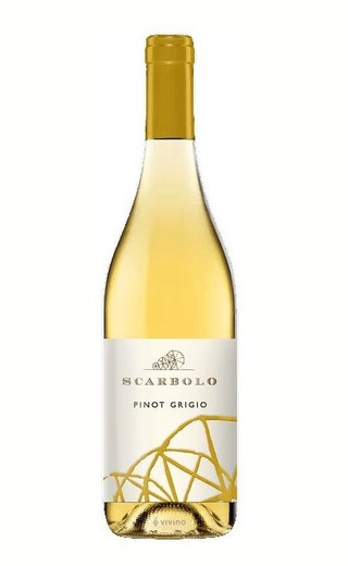 Скраболо Пино Гриджио 2010 0.75 л фото вино Scarbolo Pinot Grigio 2010 0,75 л