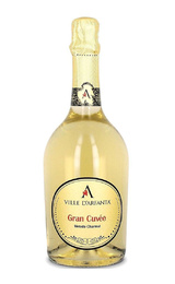 Игристое вино Villa D'Arfanta Spumante Gran Cuvee&nbsp;0,75&nbsp;л