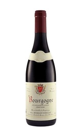 Вино Domaine Hudelot-Noellat Bourgogne Pinot Noir 2017 0,75 л