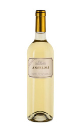 Вино Roberto Anselmi Capitel Foscarino 2019 0,75 л