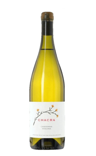 Бодега Чакра Шардоне 2019 0.75 л фото вино Bodega Chacra Chardonnay 2019 0,75 л