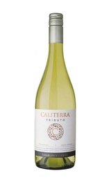 Вино Vina Caliterra Chardonnay Tributo 2019 0,75 л