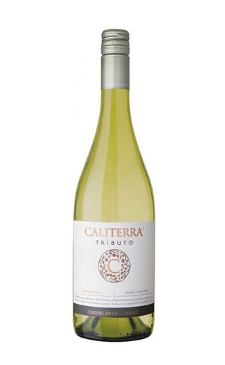 фото вино Vina Caliterra Chardonnay Tributo 2018 0,75 л