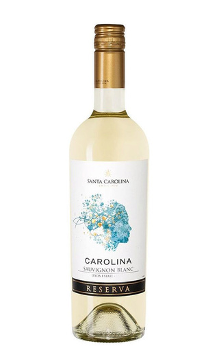 Санта Каролина Ресерва Совиньон Блан 2019 0.75 л фото вино Santa Carolina Reserva Sauvignon Blanc 2019 0,75 л