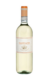 Вино Tenuta di Salviano Orvieto Classico Superiore 2019 0,75 л