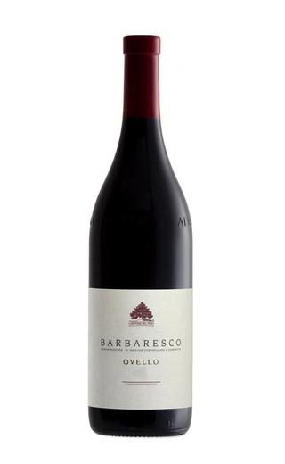 Кантина дель Пино Барбареско Овелло 2014 1.5 л фото вино Cantina del Pino Barbaresco Ovello 2014 1,5 л