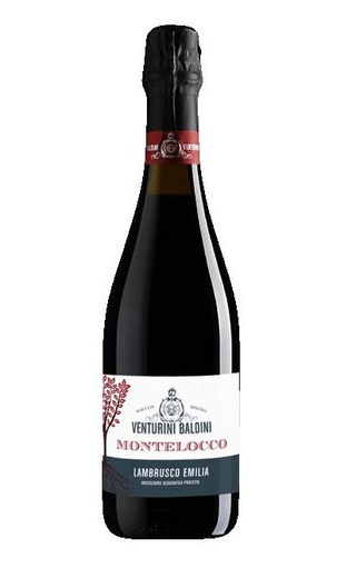 Игристое вино Venturini Baldini Montelocco Lambrusco 0,75 л