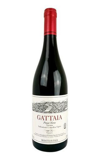 Терре ди Джиотто Гаттайя Пино Нуар 2015 0.75 л фото вино Gattaia Pinot Noir 2015 0,75 л
