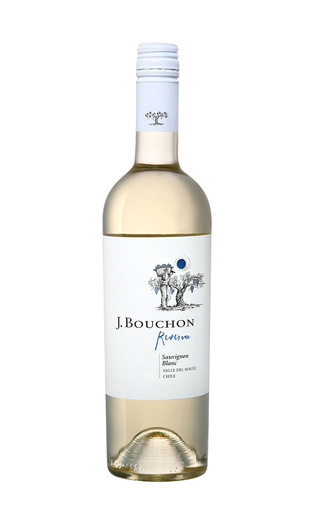 фото вино J.Bouchon Sauvignon Blanc Maule Valley 2019 0,75 л