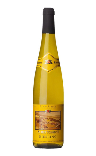 Альбер Шех Рислинг 2019 0.75 л фото вино Albert Schoech Riesling 2019 0,75 л