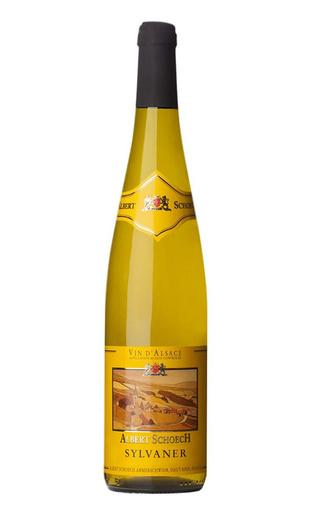 Вино Albert Schoech Sylvaner Reserve 2019 0,75 л