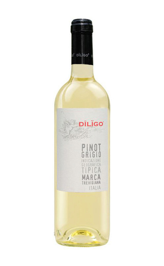 Анна Спинато Дилиго Пино Гриджио 2019 0.75 л фото вино Anna Spinato Diligo Pinot Grigio 2019 0,75 л