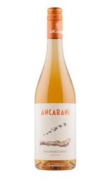 Вино Ancarani Andataeritorno 2019 0,75 л