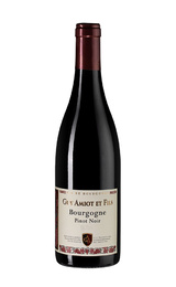 Вино Domaine Amiot Guy et Fils Bourgogne Pinot Noir 2017 0,75 л