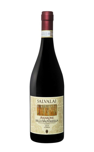 фото вино Gerardo Cesari Salvalai Amarone della Valpolicella Classico 2016 0,75 л