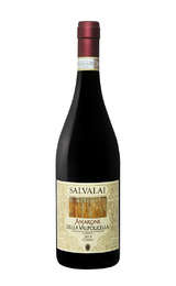 Вино Gerardo Cesari Salvalai Amarone della Valpolicella Classico 2016 0,75 л
