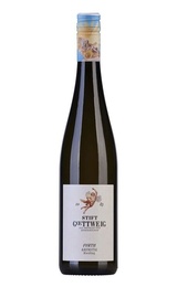Вино Stift Gottweig Riesling 2019&nbsp;0,75&nbsp;л