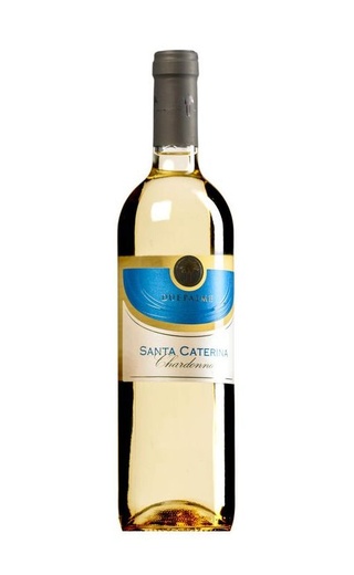 Кантине Дуэ Пальме Саленто Сан Марко Белое Полусухое 2019 0.75 л фото вино Cantine Due Palme San Marco Bianco 2019 0,75 л