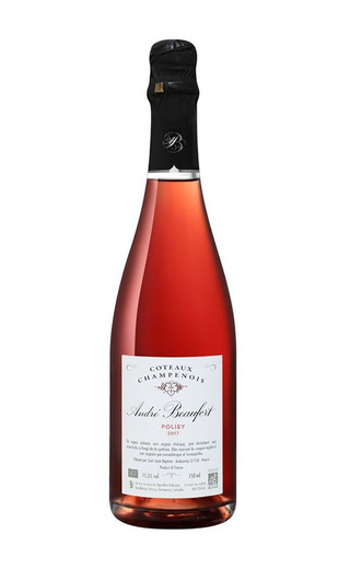 Андре Бофор Полизи Кото Шампенуа 2017 0.75 л фото шампанское Andre Beaufort Polisy Coteaux Champenois 2017 0,75 л