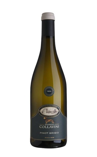 Эудженио Коллавини Пино Гриджио Блэк Лейбл 2019 0.75 л фото вино Eugenio Collavini Pinot Grigio Black Label 2019 0,75 л