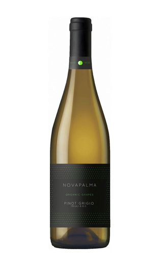 Чело э Терра Новапальма Пино Гриджио 2019 0.75 л фото вино Cielo e Terra Novapalma Pinot Grigio 2019 0,75 л