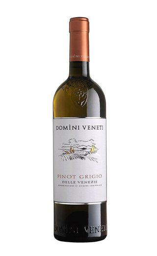 Домини Венети Пино Гриджио делле Венецие 2020 0.75 л фото вино Domini Veneti Domini Veneti Pinot Grigio delle Venezie 2020 0,75 л