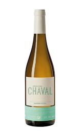 Вино Bodegas Nodus Chaval Blanco 2018 0,75 л