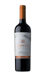 Вино Tunupa Carmenere Reserva 2017 0,75 л
