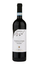Вино Colle Belvedere Armonia Nebbiolo d'Alba Superiore 2017 0,75 л