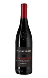 Вино Domini Veneti Amarone della Valpolicella Classico 2017 0,75 л