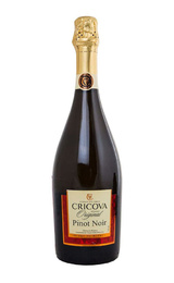 Игристое вино Cricova Pinot Noir 0,75 л