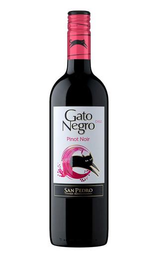 Сан Педро Гато Негро Пино Нуар 2020 0.75 л фото вино San Pedro Gato Negro Pinot Noir 2020 0,75 л
