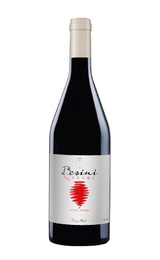 Вино Besini Qvevri Saperavi 2018 0,75 л