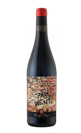 Вино Pasqua Passione Sentimento 2019 14% 0,75 л