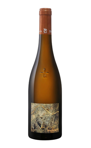 фото вино Domaine Pierre Luneau-Papin Terre de Pierre 2020 0,75 л