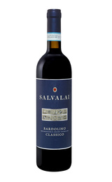 Вино Gerardo Cesari Salvalai Bardolino Classico 2019 0,75 л