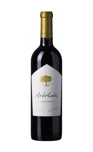 Вино Vina Arboleda Carmenere 2019 0,75 л