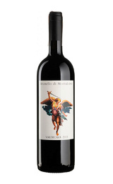 Вино Valdicava Brunello di Montalcino 2013 0,75 л