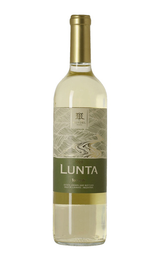 Мендель Лунта Торронтес 2020 0.75 л фото вино Mendel Lunta Torrontes 2020 0,75 л