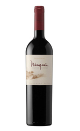 Вино Montgras Ninquen Moutain Vineyard 2017 0,75 л