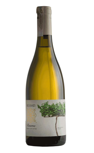 фото вино Recanati Chardonnay Reserve 2019 0,75 л